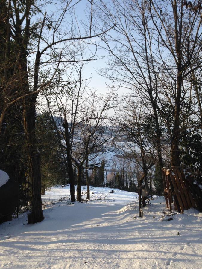 Villa 225 Bracciano  Bagian luar foto